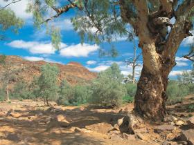 Flinders Range