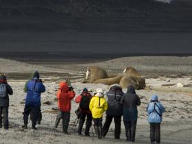 �NJRuss_Passengers _ Walrus