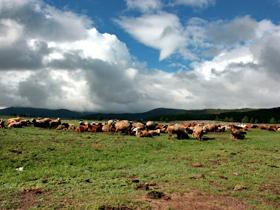 At the Eight Lakes Nature Reserve, Mongolia