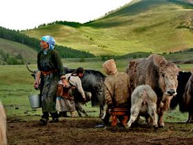 Nomads at the Eight Lakes Nature Reserve in Mongolia