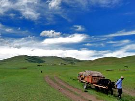 Yak drawn cart, the Orkhon Valley, Mongolia
