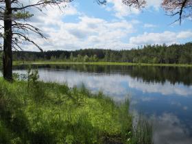 Beautiful loch in Glen Feshie, Cairngorms, Scotland