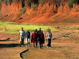 Educational Bush Walk