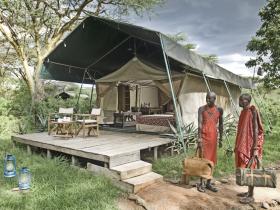 Big game safari in Kenya
