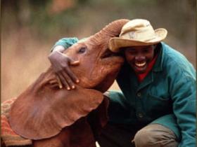 Kenya family safari, tailor made