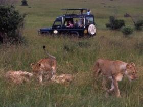Intrepids Camp