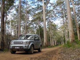 Expedition Land Rover in the forest study site
