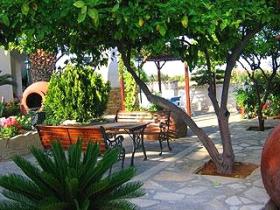 A lovely quiet sitting area under a lemon tree in the Villa Mosaica garden