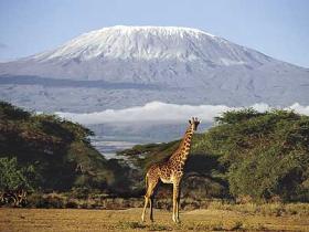Climb Mount Kilimanjaro in Tanzania