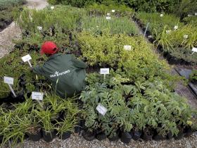 Grootbos Green Futures Nursery