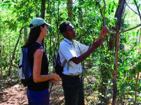 Guided Walk