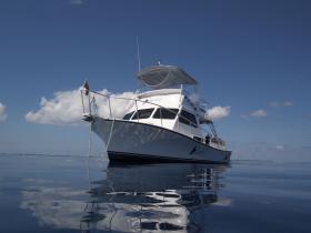 Diving day trip in the Cayman Islands