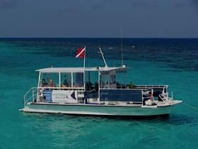Our Boat- Max 6 Divers