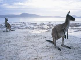 Adelaide to Perth tour, Australia