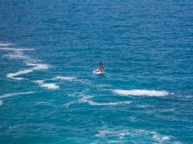 Whales at the Great Head of the Bight
