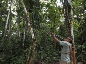 Cultural Tours in the Amazon