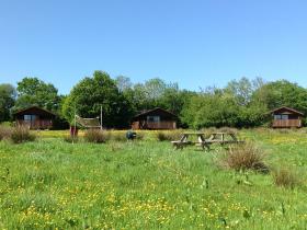 Wheatland Farm eco lodges with May buttercups