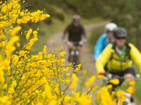 Mountain bike adventure in the Cairngorms National Park, Scotland