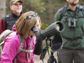Spotting wildlife in the Cairngorms, Scotland