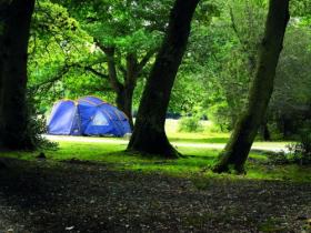 New Forest caravan and camping site, England
