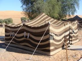 Camping in the Desert