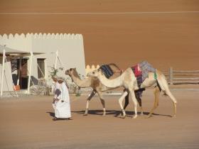 Wahiba Sands - Oman