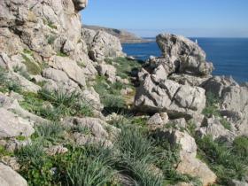 Rugged paths