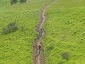 Sweet single track in Cape Town