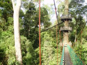 Danum Valley, canopy walkway