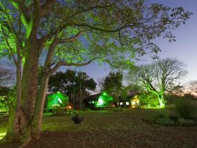Prana at night