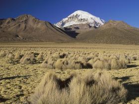 Sajama national Park