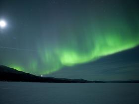 Lapland holiday, dog sledding adventure in Sweden