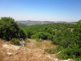 Ajloun Nature Reserve
