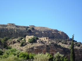 Dana Guesthouse