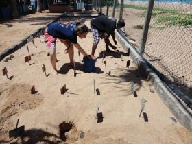 The turtle hatchery