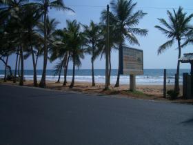 The local beach