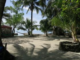 Belize marine conservation internship