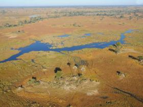 Okavango delta Botswana