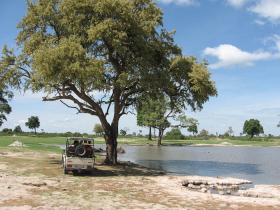 Zimbabwe game drive