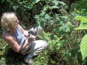 Work in conservation projects in Uganda