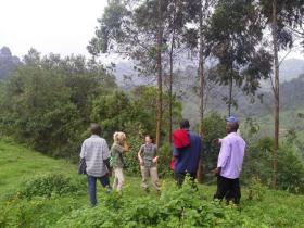 Conservation volunteering in Uganda