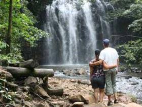 Rainforest Waterfalls
