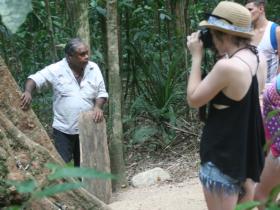 Aboriginal-Guided Rainforest Walk