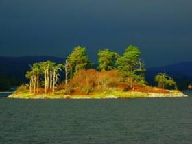 Bay island via Seafari Eco tours