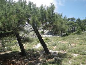 3rd Day find hidden little mountain church
