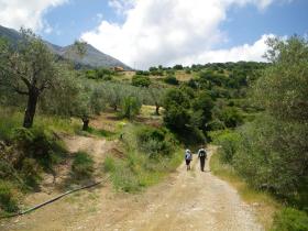Easy Paths with surrounding Flora and Fauna