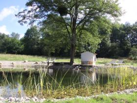 Natural swimming pool