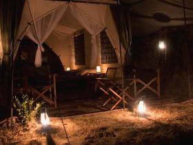 Tree Tops tented jungle camp