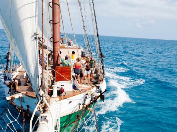 gay scott speedman windjammer gay cruise