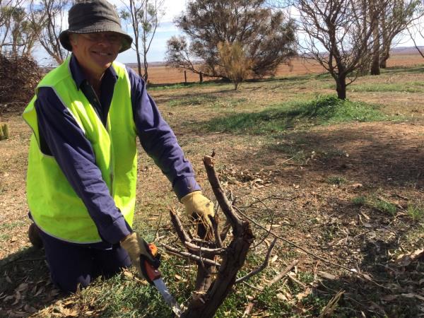 New Zealand conservation volunteering. Helping Dreamers Do